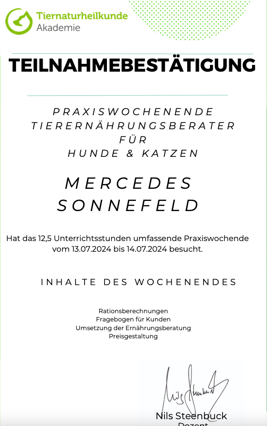 Bildschirmfoto 2024-11-21 um 20.19.55